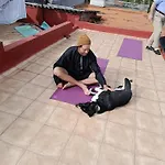 Acoran Family Ocean View With Daily Yoga Included North Gran Canaria Pet Friendly Firgas