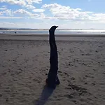 Acoran Family Ocean View With Daily Yoga Included North Gran Canaria Pet Friendly