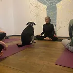 Acoran Family Ocean View With Daily Yoga Included North Gran Canaria Pet Friendly Guest house *