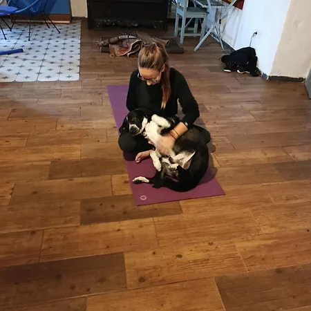 Acoran Family Ocean View With Daily Yoga Included North Gran Canaria Pet Friendly *