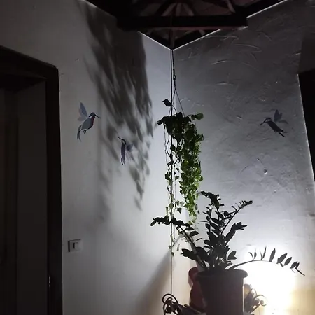 Acoran Family Guests House With Included Morning Yoga Practice Фиргас