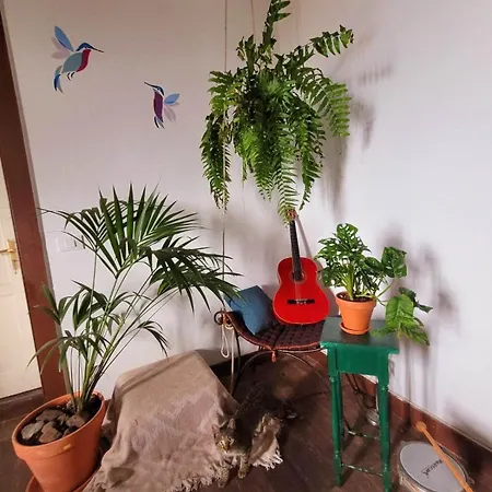 Acoran Family Guests House With Included Morning Yoga Practice Гостевой дом Фиргас